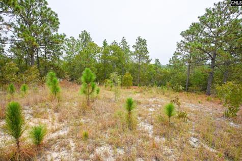 113 Longview Street Lexington SC 29073