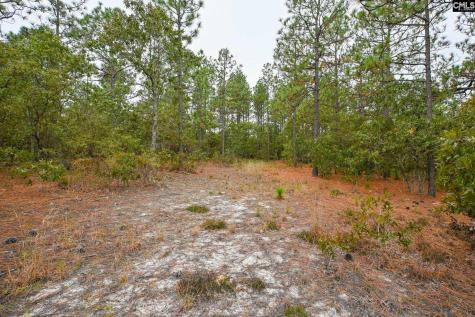 113 Longview Street Lexington SC 29073