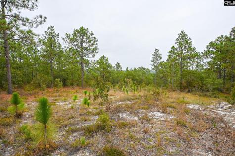 113 Longview Street Lexington SC 29073