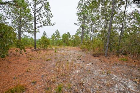 113 Longview Street Lexington SC 29073