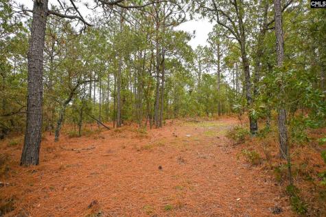 113 Longview Street Lexington SC 29073