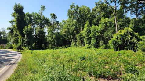 405 Harmon Street Lexington SC 29072