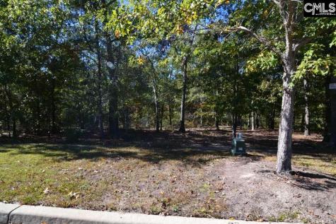 121 Montgomery Ridge Lane 4 Blythewood SC 29016