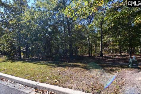 121 Montgomery Ridge Lane 4 Blythewood SC 29016