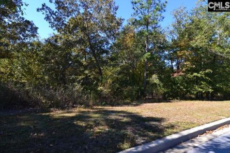 121 Montgomery Ridge Lane 4 Blythewood SC 29016