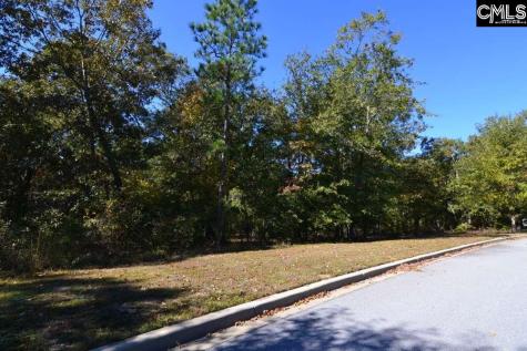 121 Montgomery Ridge Lane 4 Blythewood SC 29016