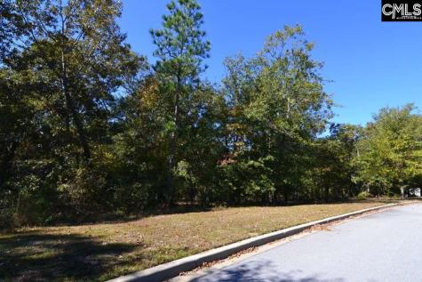 121 Montgomery Ridge Lane 4 Blythewood SC 29016