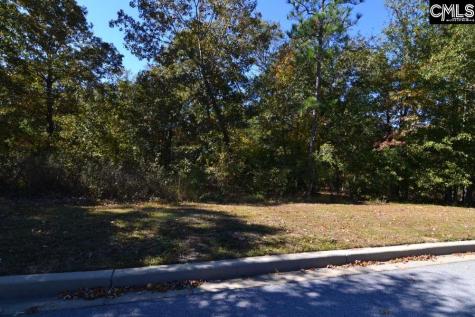 121 Montgomery Ridge Lane 4 Blythewood SC 29016
