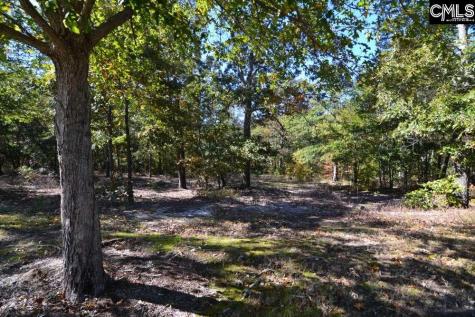 121 Montgomery Ridge Lane 4 Blythewood SC 29016