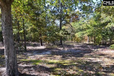 121 Montgomery Ridge Lane 4 Blythewood SC 29016