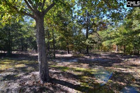 121 Montgomery Ridge Lane 4 Blythewood SC 29016