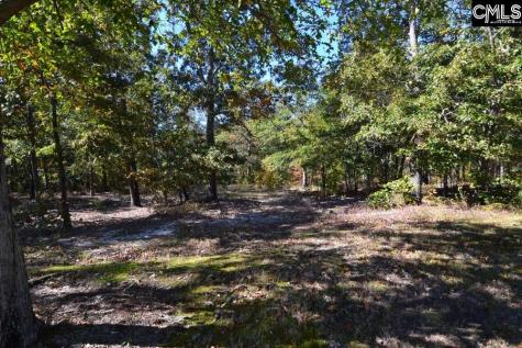 121 Montgomery Ridge Lane 4 Blythewood SC 29016