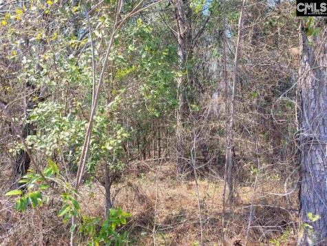 239 House Road Eastover SC 29044