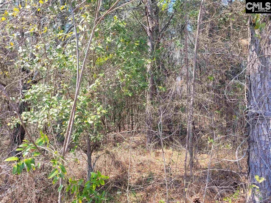 239 House Road Eastover SC 29044