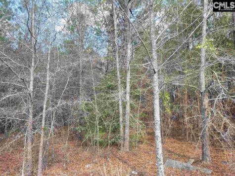 239 House Road Eastover SC 29044