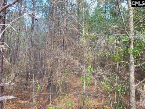 239 House Road Eastover SC 29044