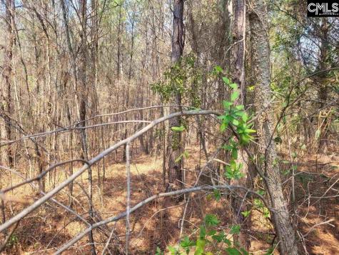 239 House Road Eastover SC 29044