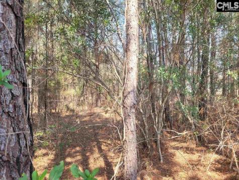 239 House Road Eastover SC 29044