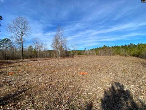 900 Piney Wood Road Saluda SC 29138