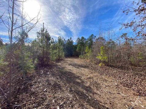 900 Piney Wood Road Saluda SC 29138
