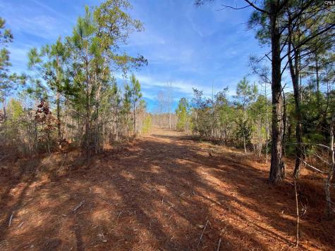900 Piney Wood Road Saluda SC 29138