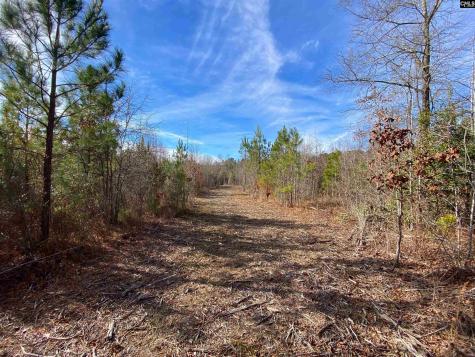 900 Piney Wood Road Saluda SC 29138
