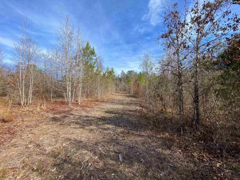 900 Piney Wood Road Saluda SC 29138