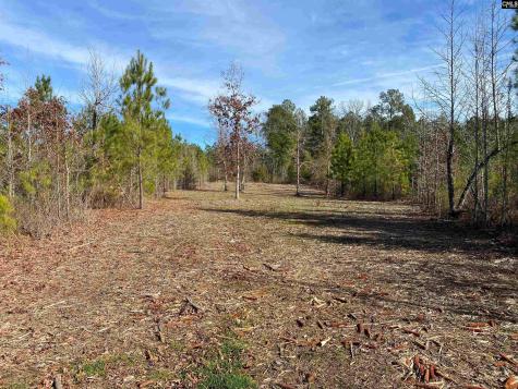 900 Piney Wood Road Saluda SC 29138