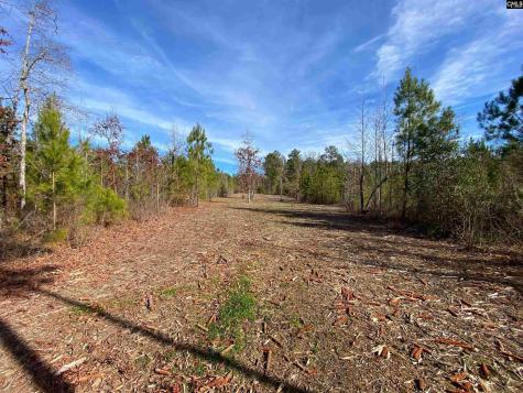 900 Piney Wood Road Saluda SC 29138