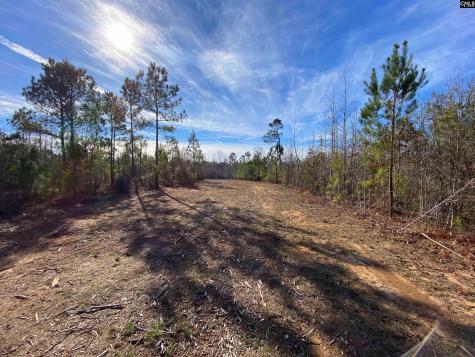 900 Piney Wood Road Saluda SC 29138