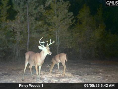 900 Piney Wood Road Saluda SC 29138