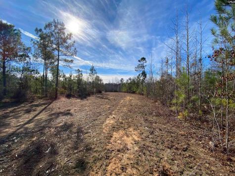 900 Piney Wood Road Saluda SC 29138