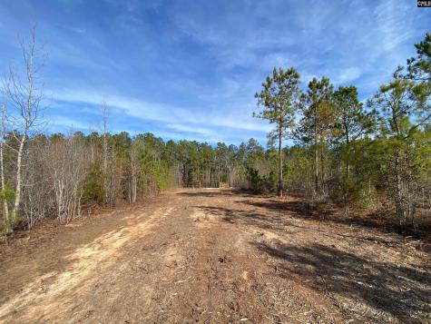 900 Piney Wood Road Saluda SC 29138