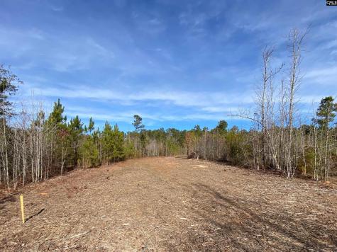 900 Piney Wood Road Saluda SC 29138