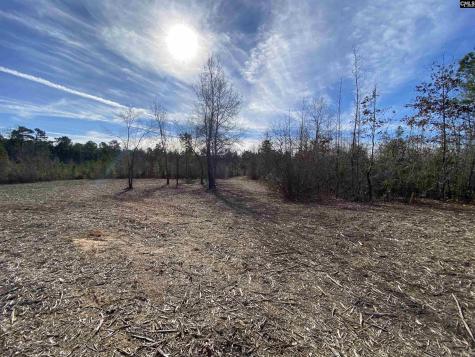 900 Piney Wood Road Saluda SC 29138