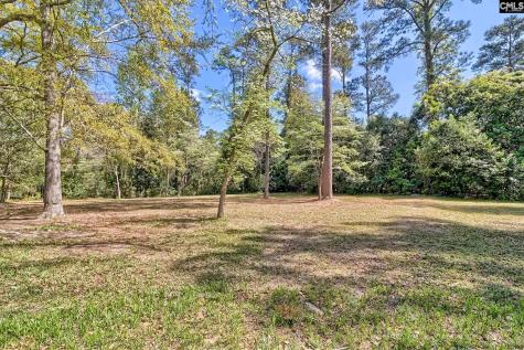 106 Middlebrook Drive Lexington SC 29072