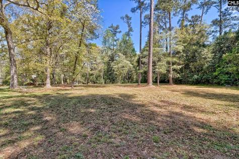 106 Middlebrook Drive Lexington SC 29072