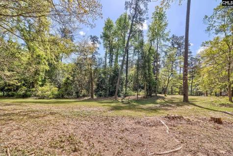 106 Middlebrook Drive Lexington SC 29072