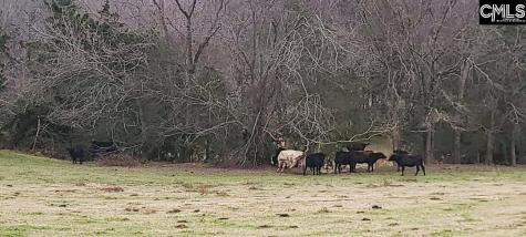 Tbd Willie Usher Road Lancaster SC 29720