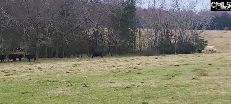 Tbd Willie Usher Road Lancaster SC 29720