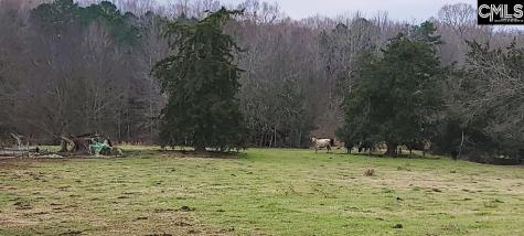 Tbd Willie Usher Road Lancaster SC 29720