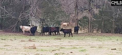 Tbd Willie Usher Road Lancaster SC 29720