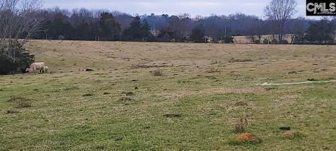 Tbd Willie Usher Road Lancaster SC 29720