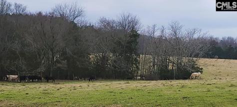 Tbd Willie Usher Road Lancaster SC 29720