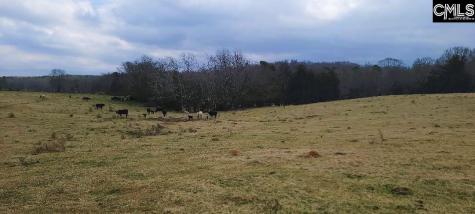 Tbd Willie Usher Road Lancaster SC 29720