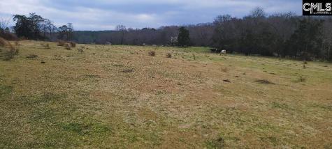 Tbd Willie Usher Road Lancaster SC 29720