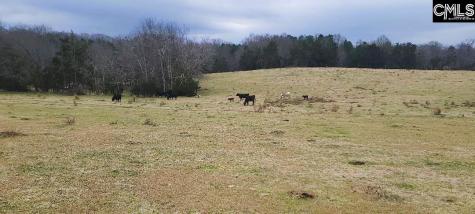 Tbd Willie Usher Road Lancaster SC 29720