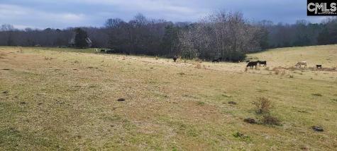 Tbd Willie Usher Road Lancaster SC 29720