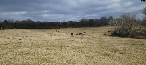 Tbd Willie Usher Road Lancaster SC 29720