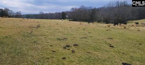 Tbd Willie Usher Road Lancaster SC 29720